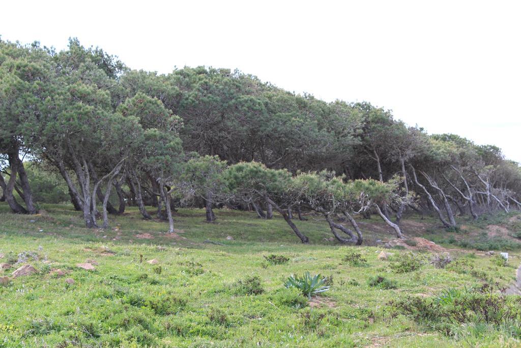 Villa Boa Vista Sul - Terra Da Eira - Raposeira Vila do Bispo Buitenkant foto